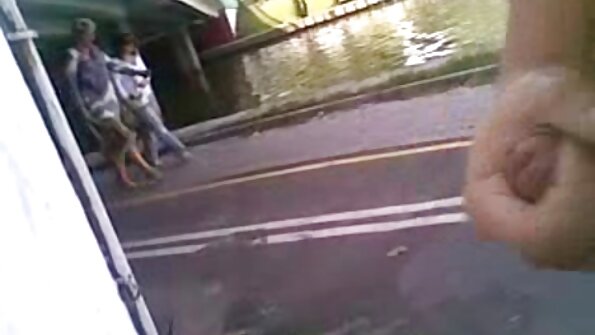 සරාගී පිටුපස ඇති ගැහැණු ළමයින් දෙදෙනෙක් උණුසුම් ත්‍රිත්වයක දේවල් කරති