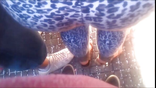 පෙළඹෙන විශ්ව විද්‍යාල පැටියා බිම හෙලනු ලැබේ